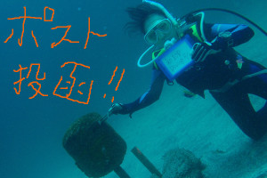 130803伊豆海洋公園水中ポスト