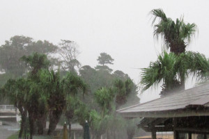 130905伊豆 海洋公園ゲリラ豪雨１
