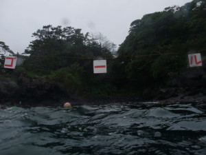 20140622伊豆 海洋公園　海を泳ごう４