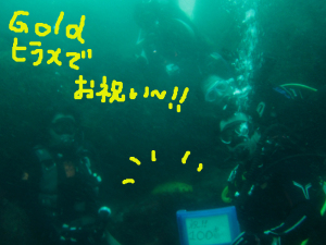 140907伊豆 海洋公園 黄金ヒラメ
