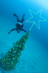 20141119伊豆 ダイビング 伊豆海洋公園クリスマスツリー