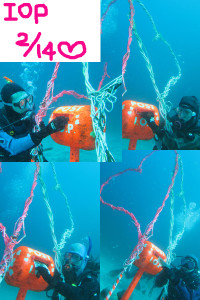 20150214伊豆 ダイビング 海洋公園 水中ポスト