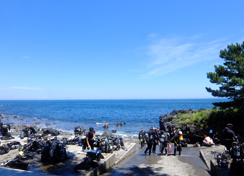 20150720伊豆 ﾀﾞｲﾋﾞﾝｸﾞ 伊豆海洋公園 (2)