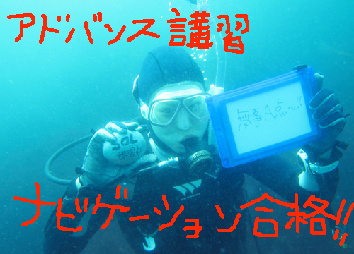 20150725伊豆 ﾀﾞｲﾋﾞﾝｸﾞ 伊豆海洋公園  (2)