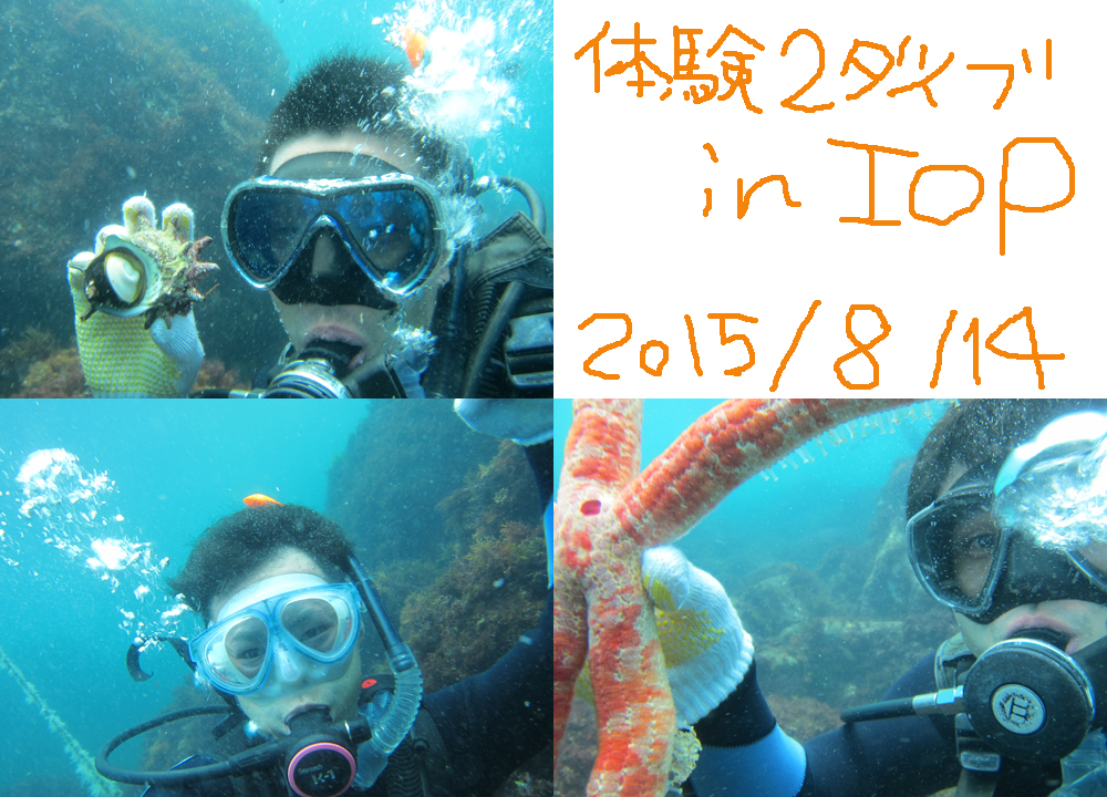 20150814伊豆 体験ダイビング 伊豆海洋公園 SOL