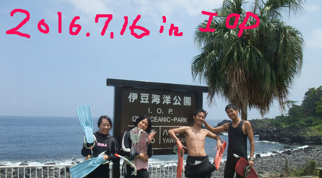 20160716伊豆 ダイビング 伊豆海洋公園 体験ダイビング (1)