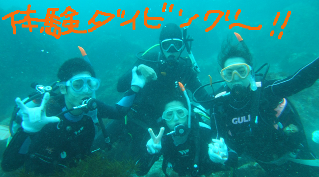 20160716伊豆 ダイビング 伊豆海洋公園 体験ダイビング (2)