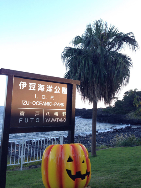20161103伊豆 ダイビング 伊豆海洋公園 ライセンス取得２